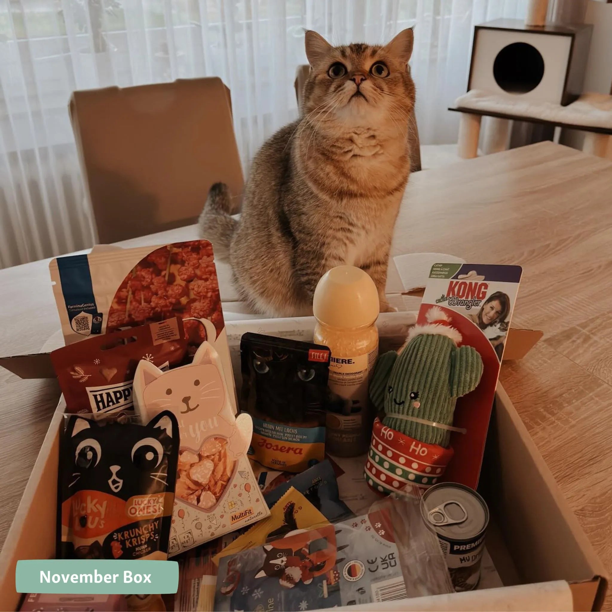 Miaubox Einzelbox