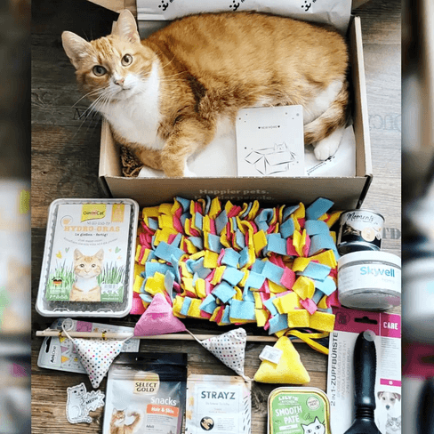 Miaubox - Überraschungsbox für Katzen von Fressnapf